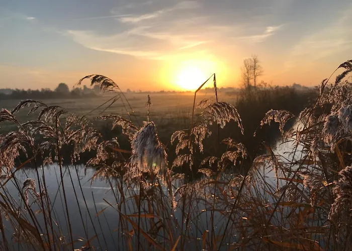 Maisonnette Cosy à De Monts - 4 Pers, Parking - Fr-1-540-326 Hébergement de vacances La Barre-de-Monts