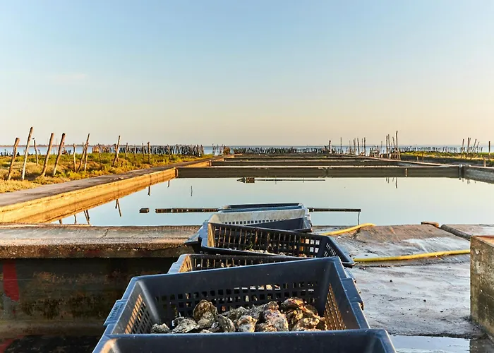 Maisonnette Cosy à De Monts - 4 Pers, Parking - Fr-1-540-326 Hébergement de vacances