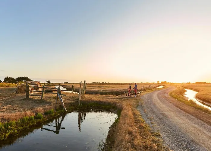 Prázdninový dům Maisonnette Cosy A De Monts - 4 Pers, Parking - Fr-1-540-326 La Barre-de-Monts